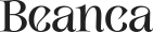 ParallelVers Client Logo - Digital Solutions Partner